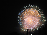 P8060294.gif