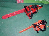 p2250006v.gif