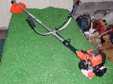 p2250013v.gif