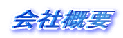 ЊTv